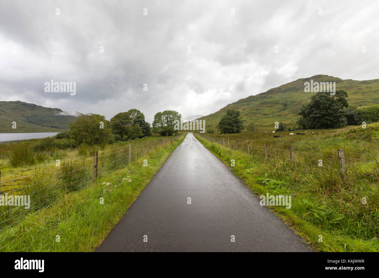 Straight wet road along Loch Arklet, Loch Lomond & The Trossachs National Park, Scotland Stock Photo
