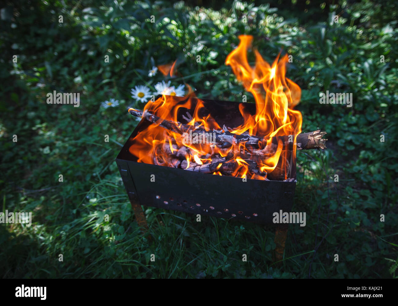 Burning coals in the mangal on the green grass background Stock Photo