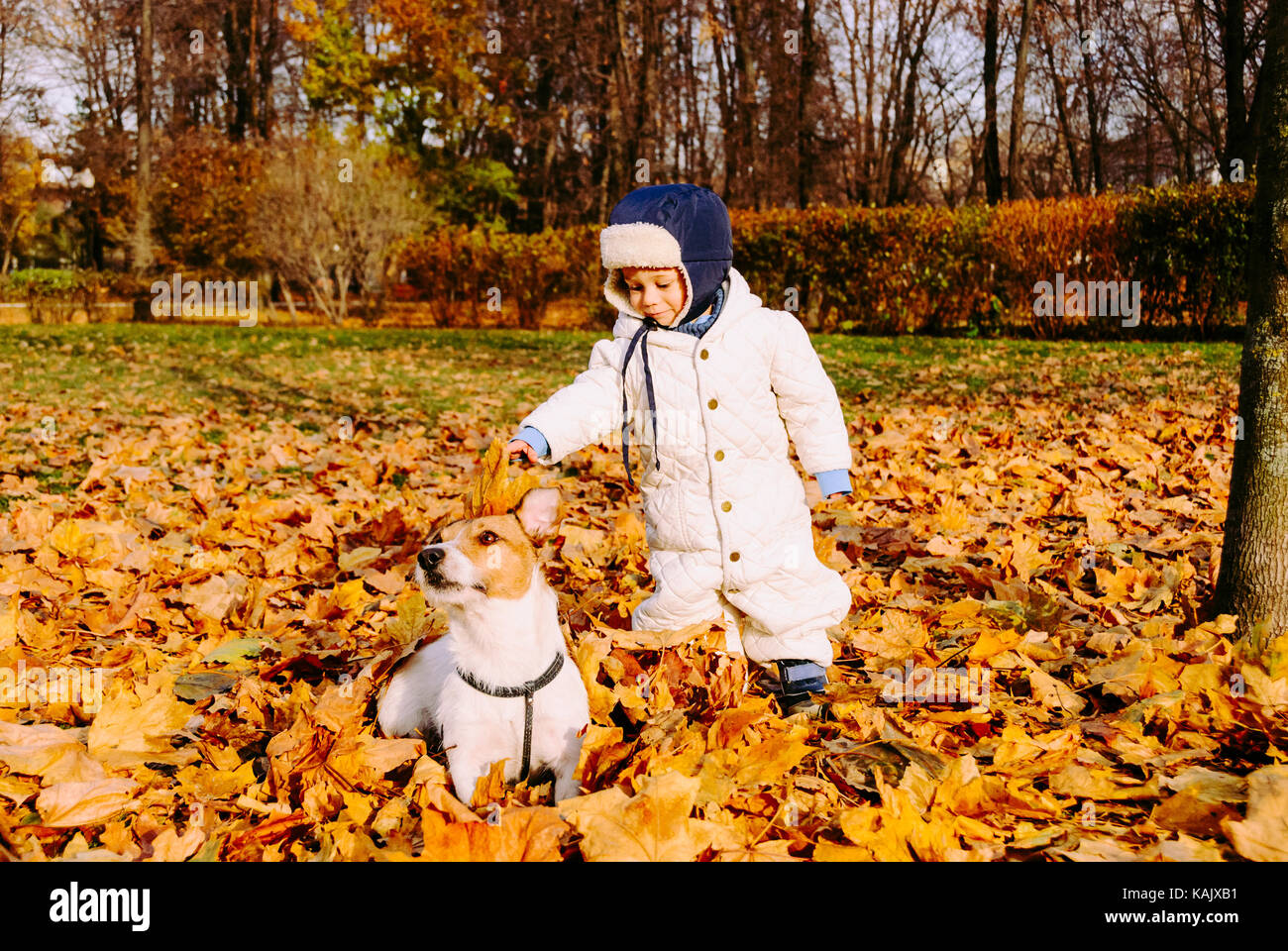 1-2 years boy playing with friendly dog pet at fall (autumn) park Stock Photo