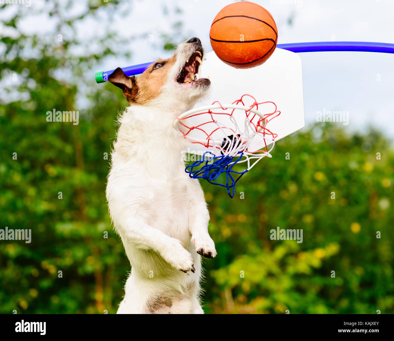 Fantasy basketball one-on-one game at backyard court Stock Photo