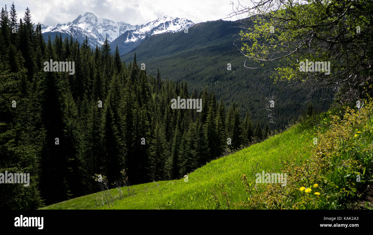 View from an alpine meadow towards mountains peaks in the Dickson Range (South Chilcotin Mountain Park, British Columbia, Canada). Stock Photo