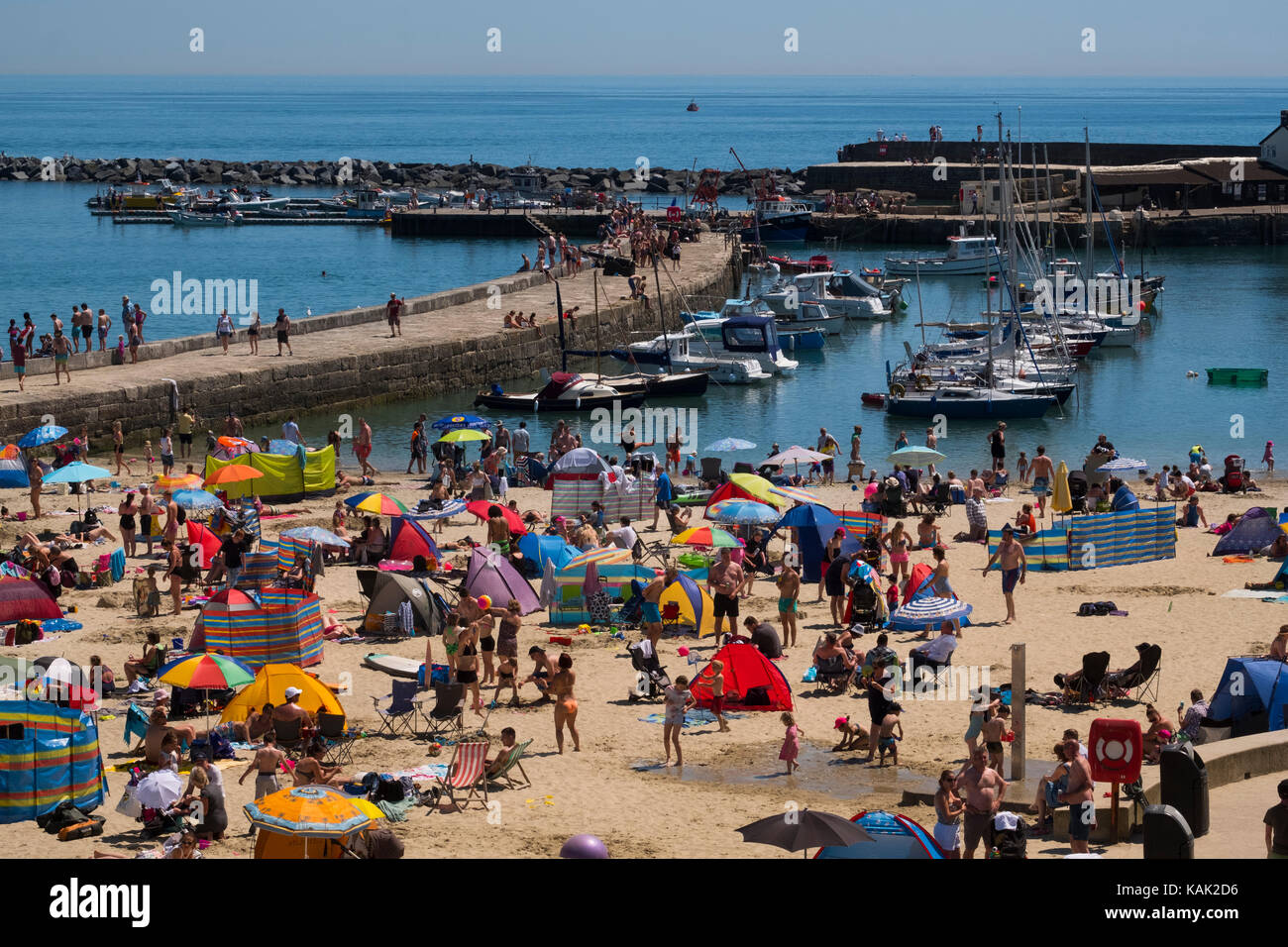 Crowded beach at in summer at Lyme Regis, Dorset, UK Stock Photo - Alamy