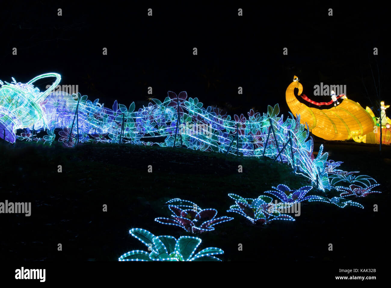 Blue flower lantern trail, Magical Lantern Festival, Roundhay Park Leeds, West Yorkshire