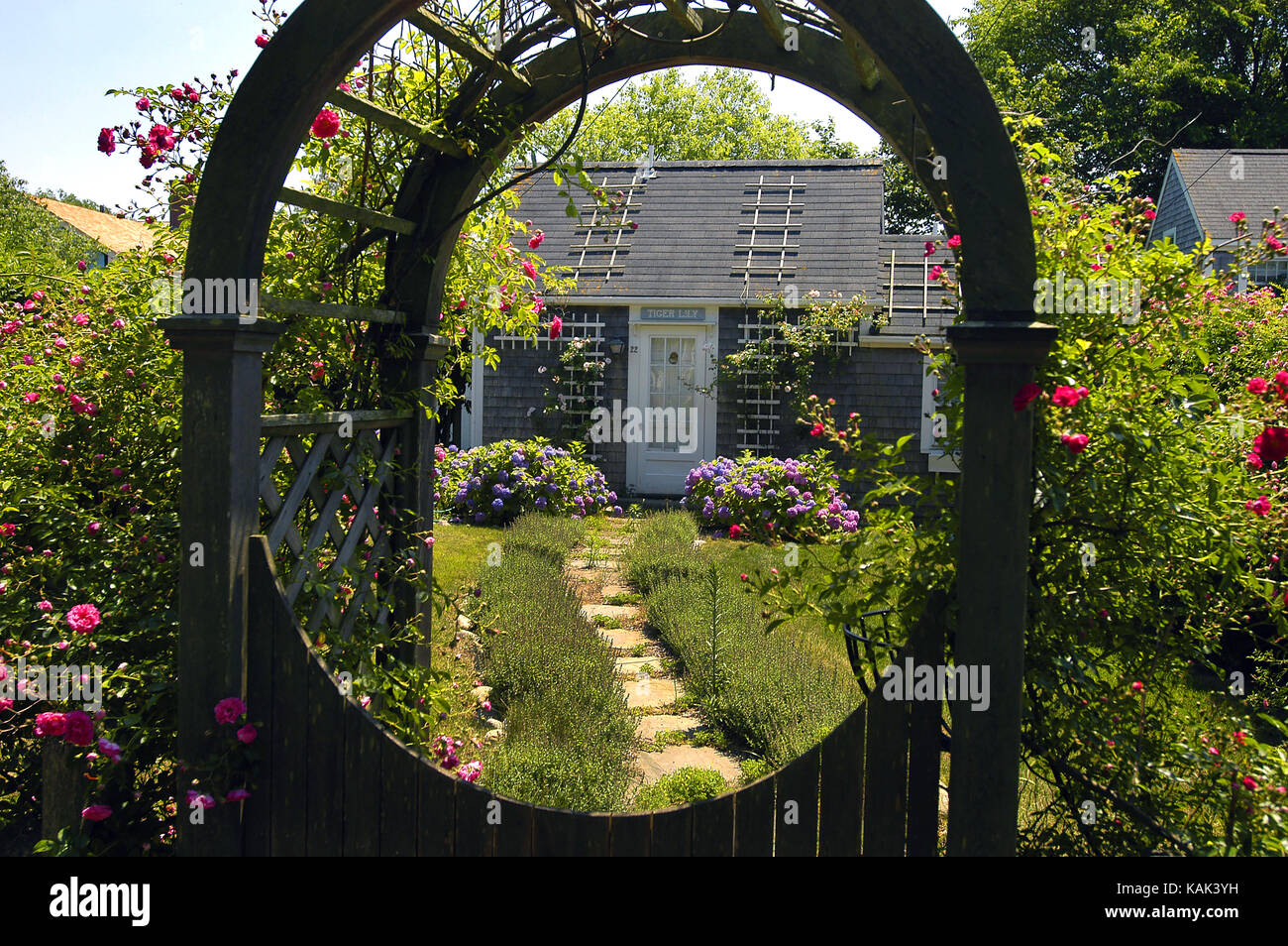 Rose covered home/cottage * Nantucket Island, Massachusetts, USA Stock Photo Alamy