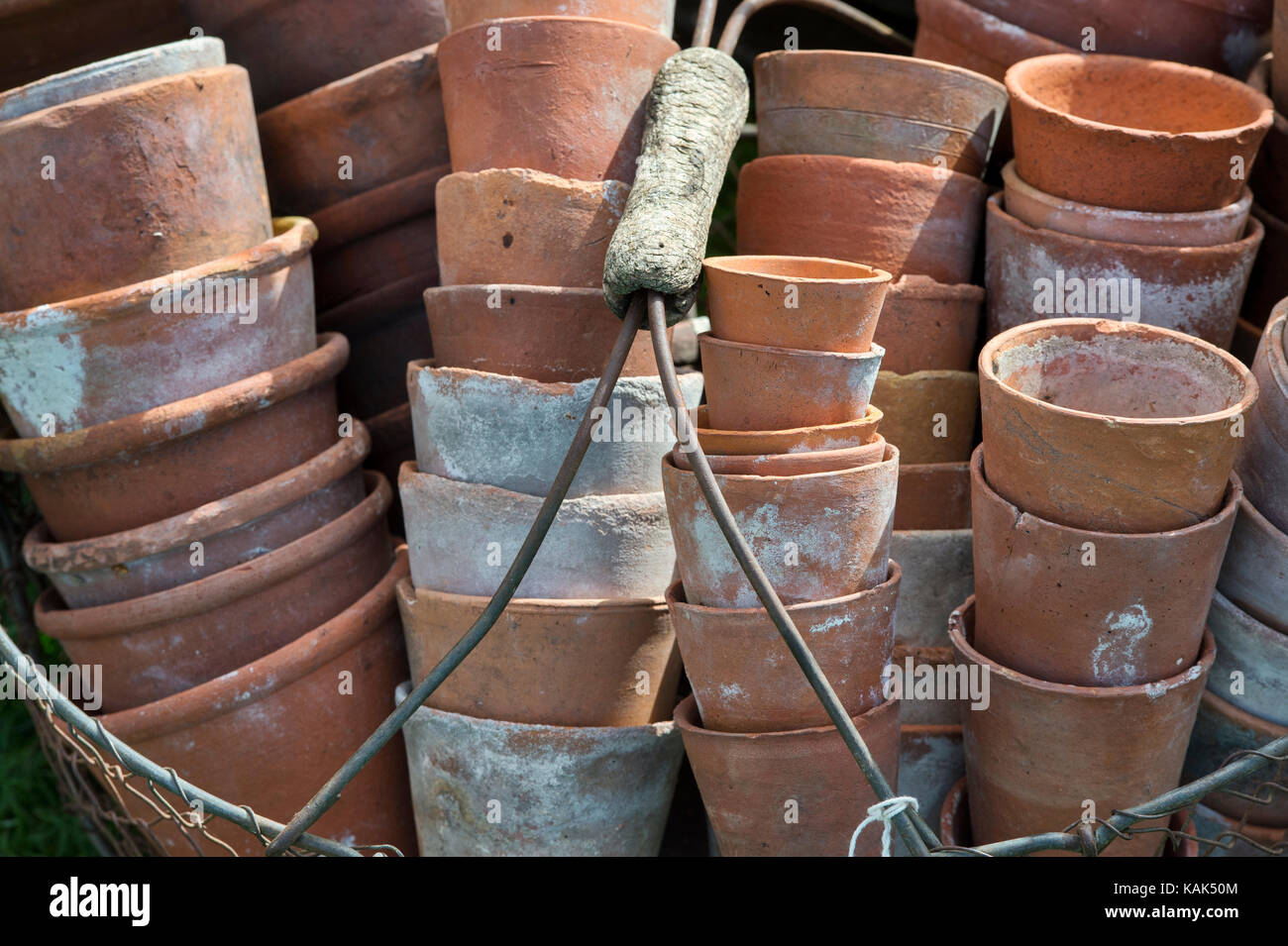Wire basket of clean terracotta flower pots getting ready for storage over the winter period. UK