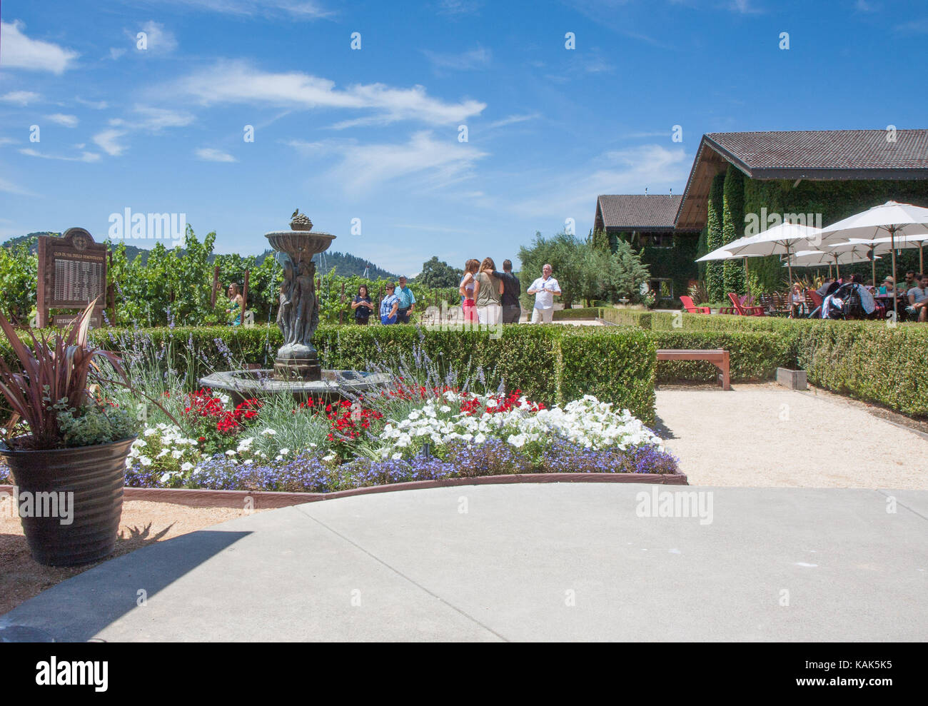Napa Valley winery with fountain in mid-ground, people drinking wine, and vineyards in background. Winery on right side with umbrella-covered tables. Stock Photo