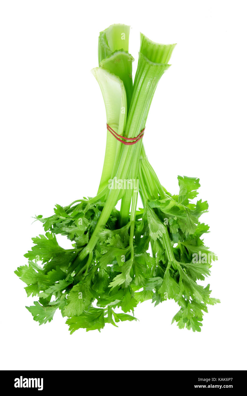 Bunch of Celery on White Background Stock Photo Alamy