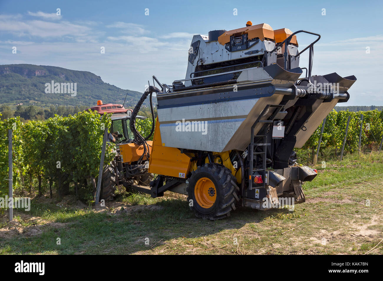 Grape harvesting machine hi-res stock photography and images - Alamy