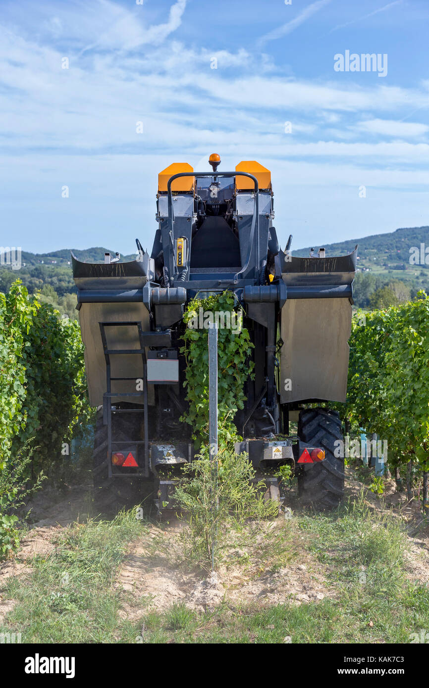 Grape harvesting machine hi-res stock photography and images - Alamy
