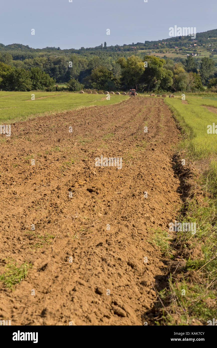 Old tractor working on the field Stock Photo - Alamy