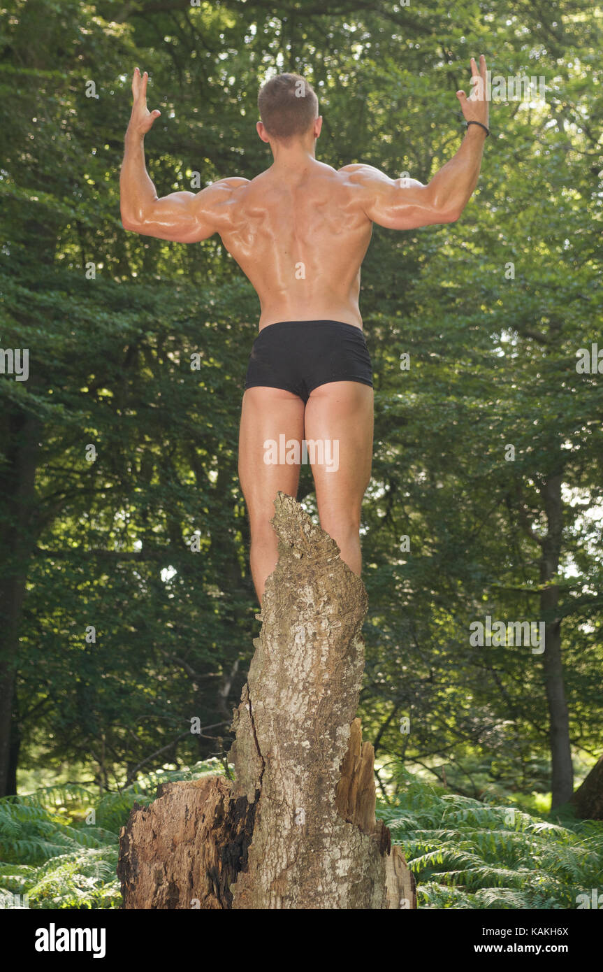 Bodybuilding fitness and physique in a forest location Stock Photo Alamy