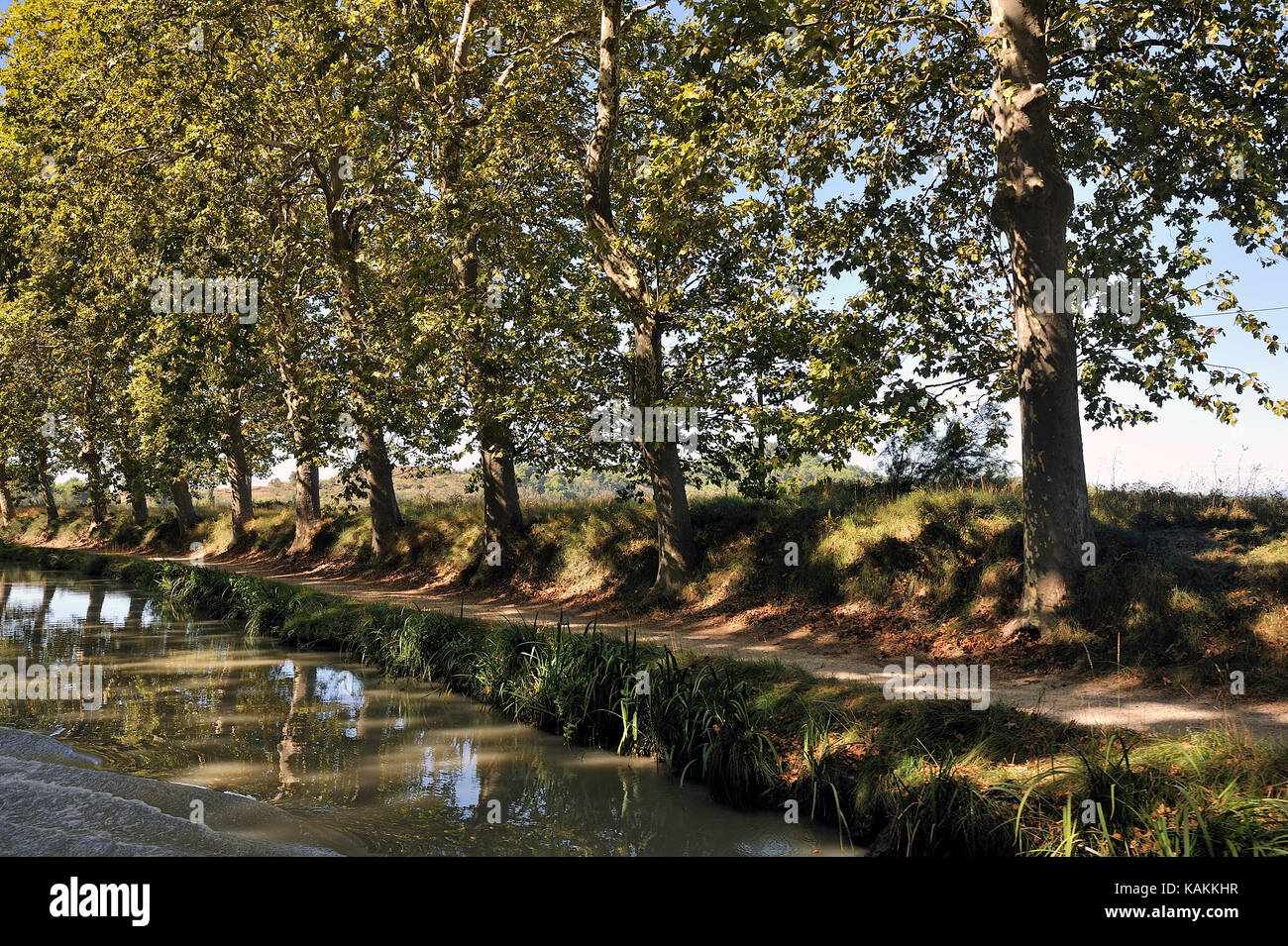 The Canal du Midi near Beziers lined with plane trees Stock Photo