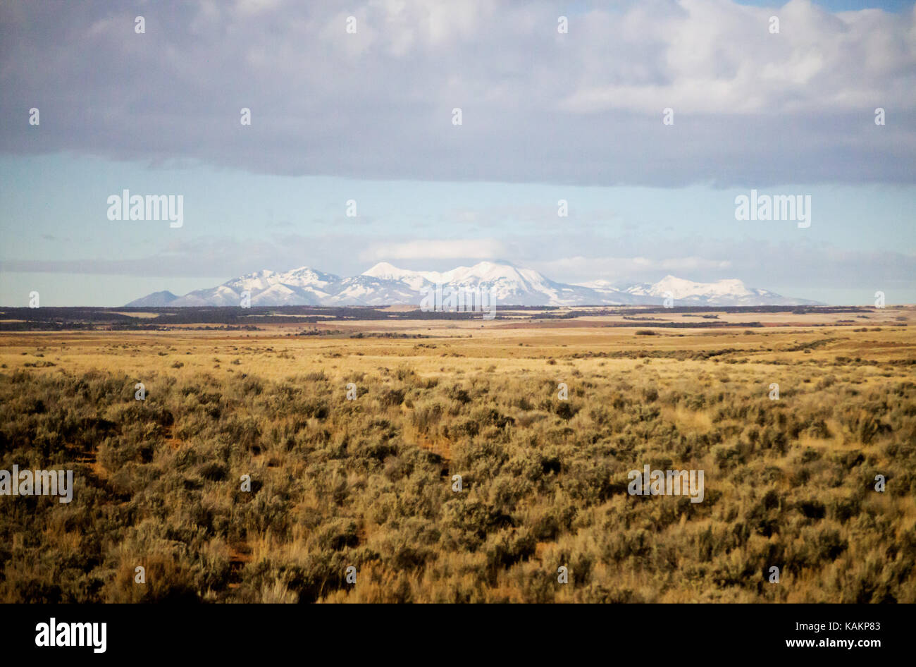 A field full of scrub grass leading to a range of mountains in the