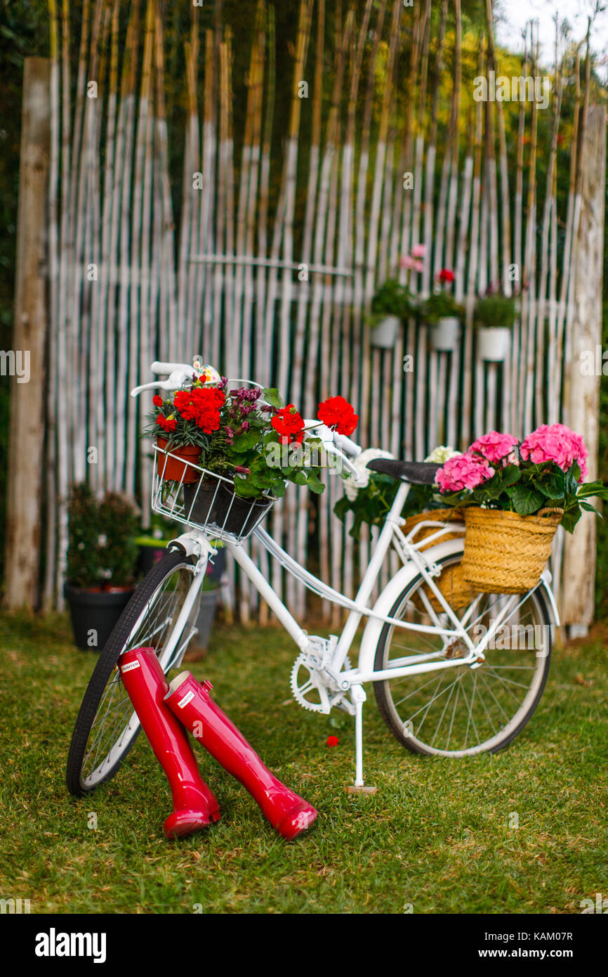 bicycle with basket full of flowers in summer Garden Stock Photo Alamy