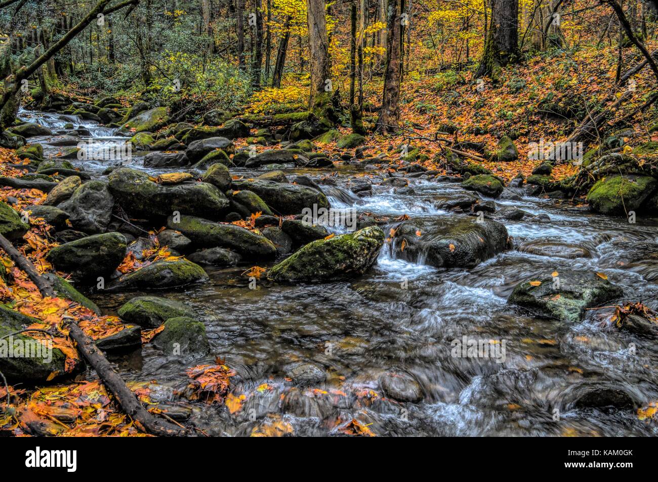 Babbling Rocky Brook in Smokies Stock Photo - Alamy