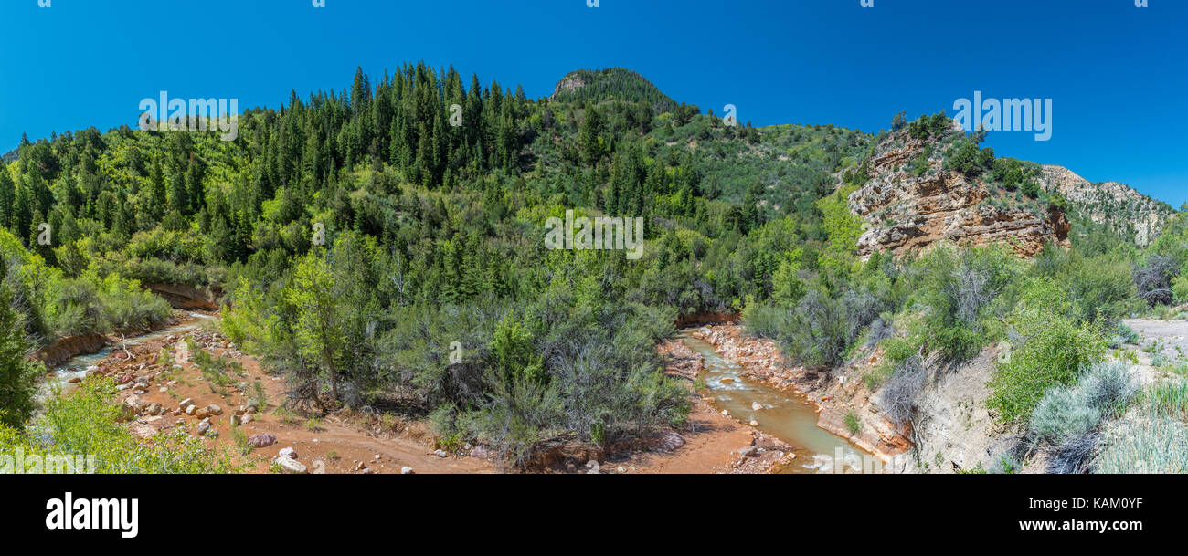 Stream with blue sky and trees hi-res stock photography and images - Alamy