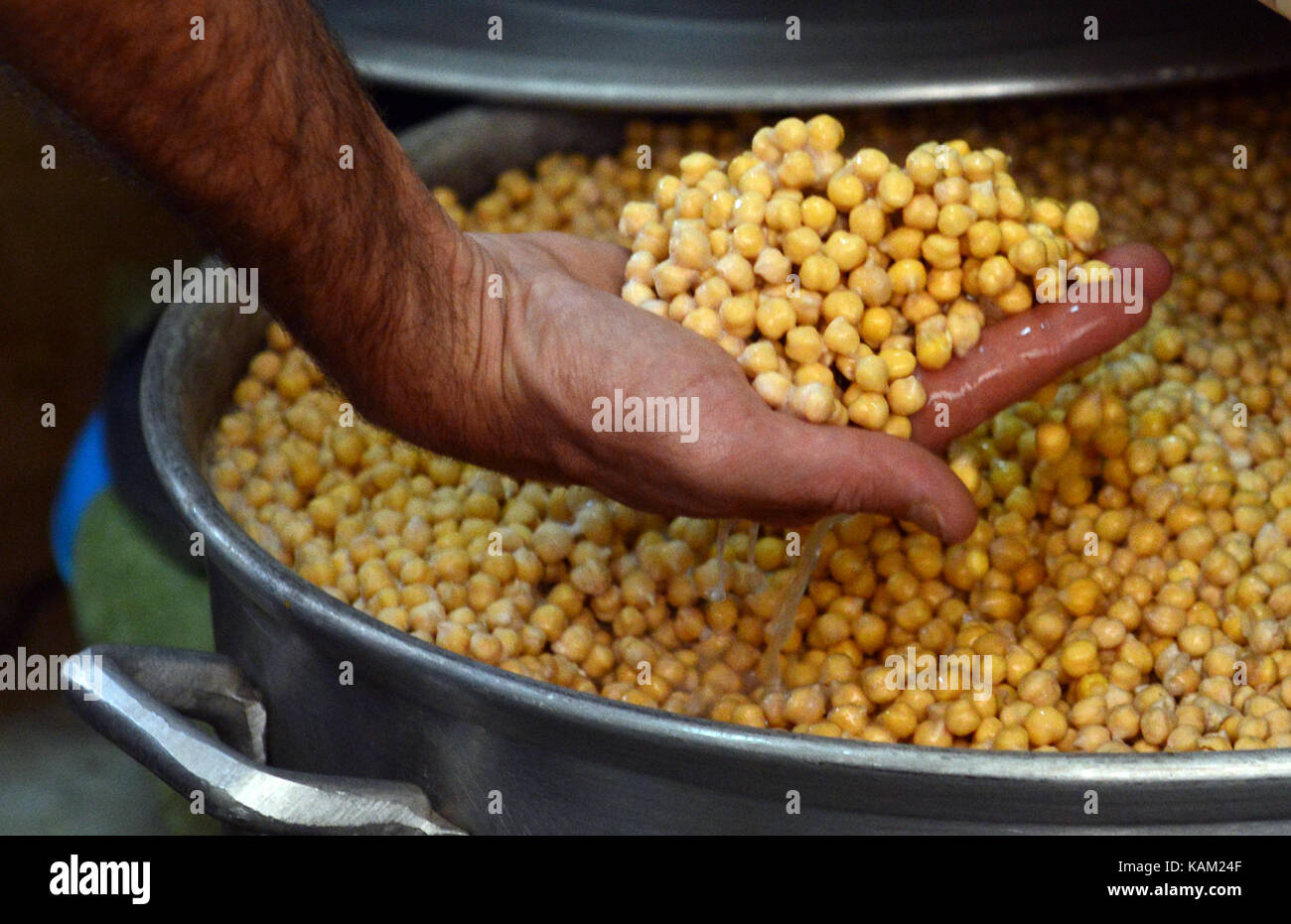 A big pot of overnight soaked chickpeas before they are boiled. Stock Photo