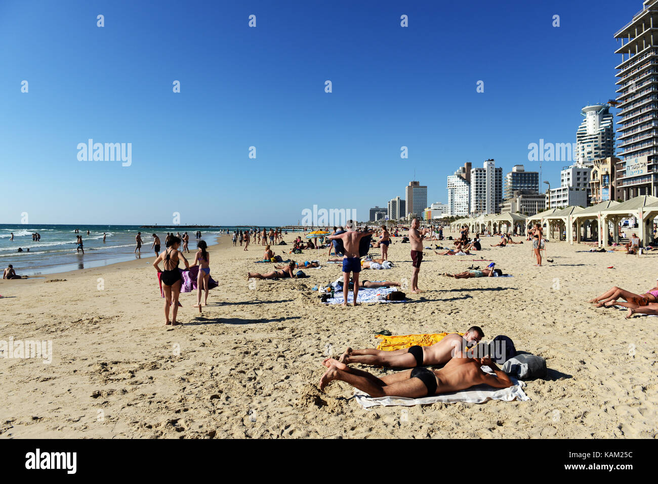 Sunbathing on the beautiful beach in TelAviv Stock Photo Alamy