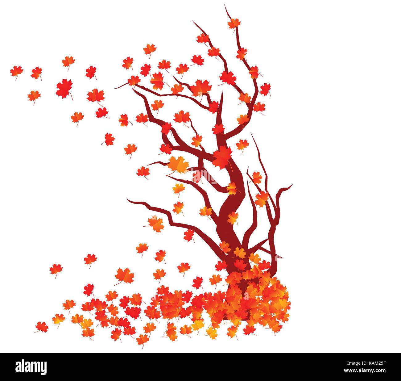 Fall Trees Background Vector Autumn tree. Fall Leaves Background Stock Vector Image & Art - Alamy