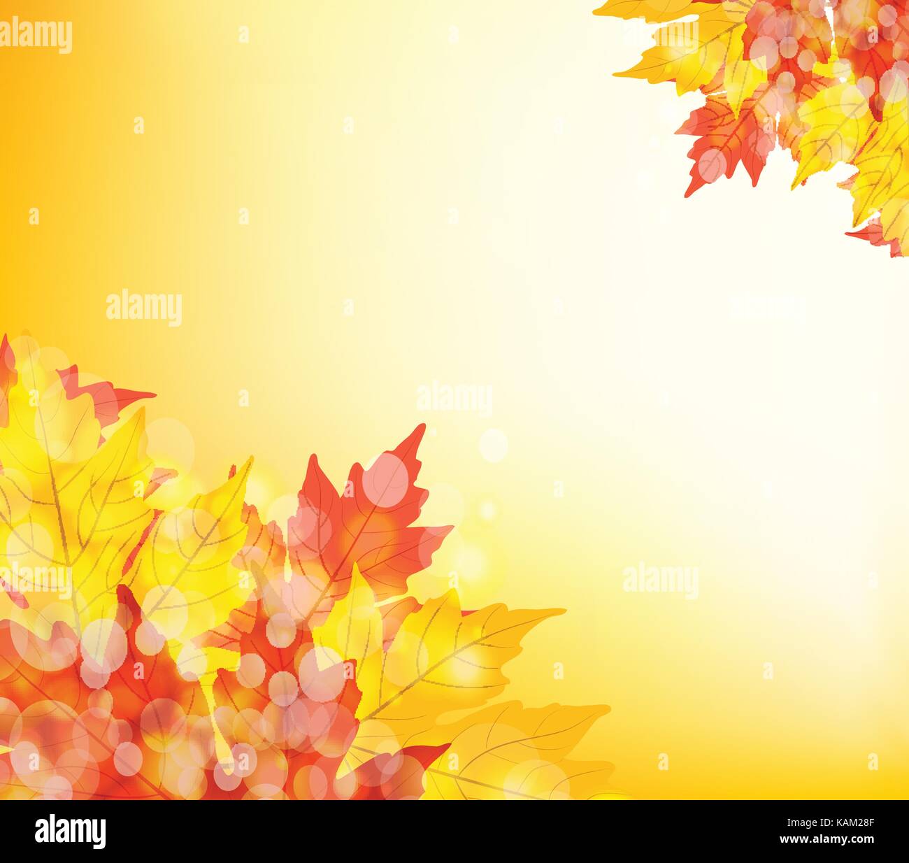 Happy Thanksgiving. Autumn background with leaves Stock Vector Image ...