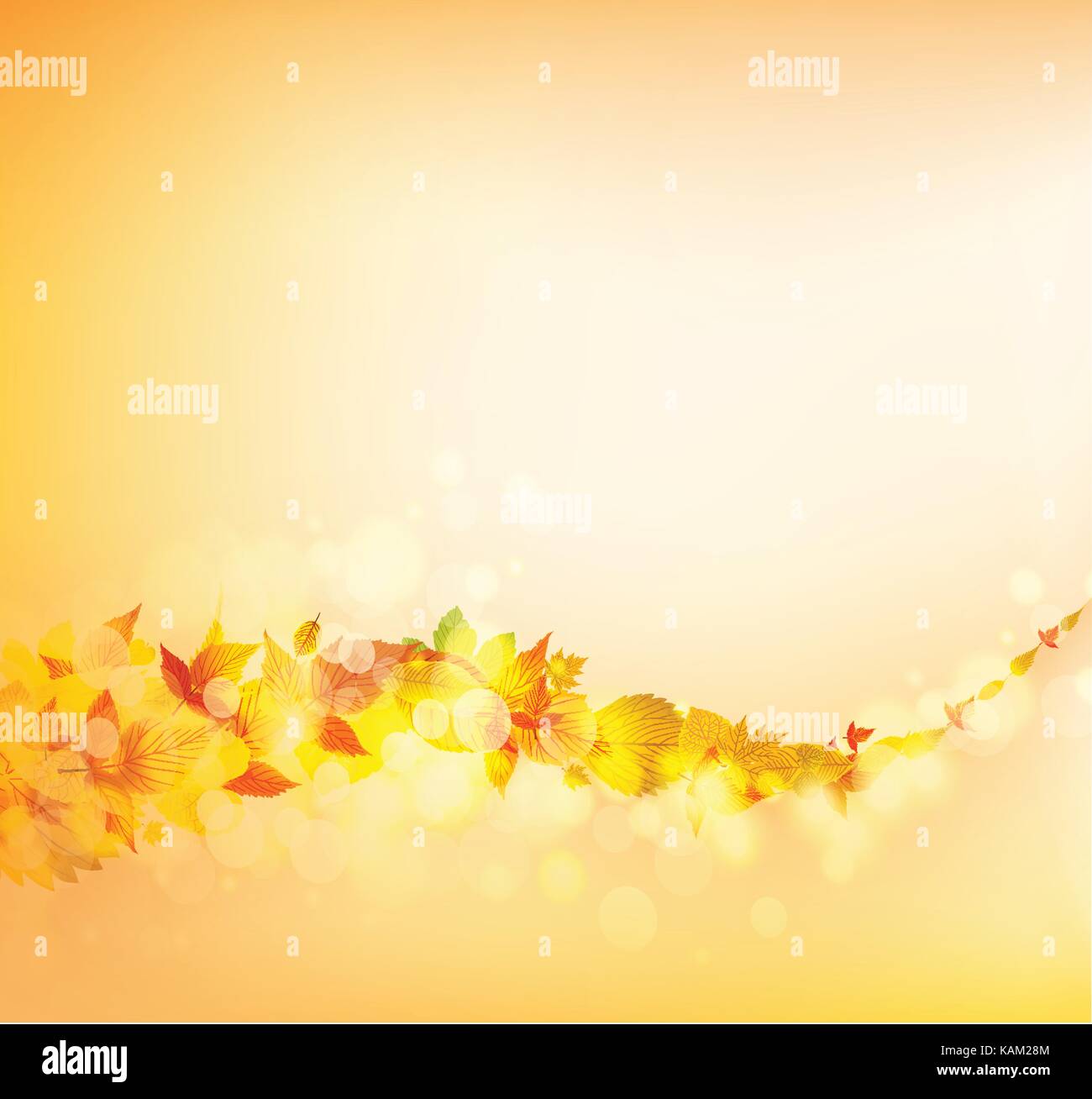 Thanksgiving falling leaves background Stock Vector Image & Art - Alamy