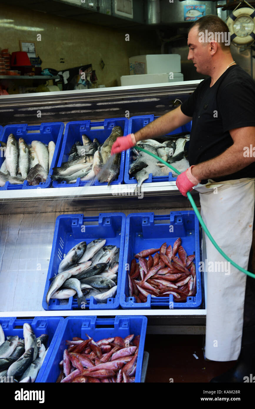Fresh fish sold in Jaffa Stock Photo Alamy