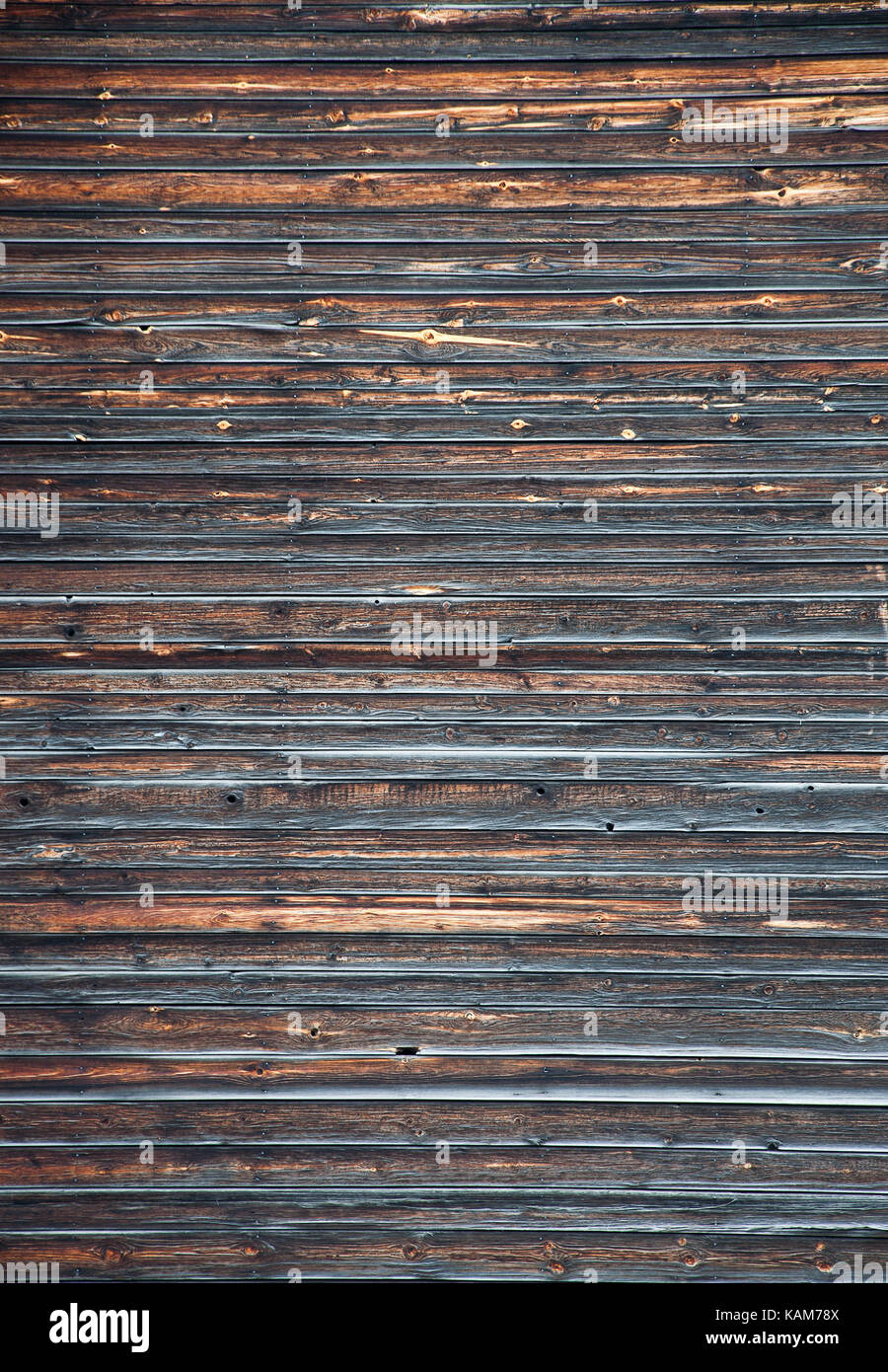 Wood texture background Stock Photo