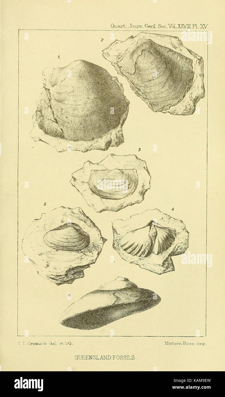 The Quarterly journal of the Geological Society of London (12513032393 ...