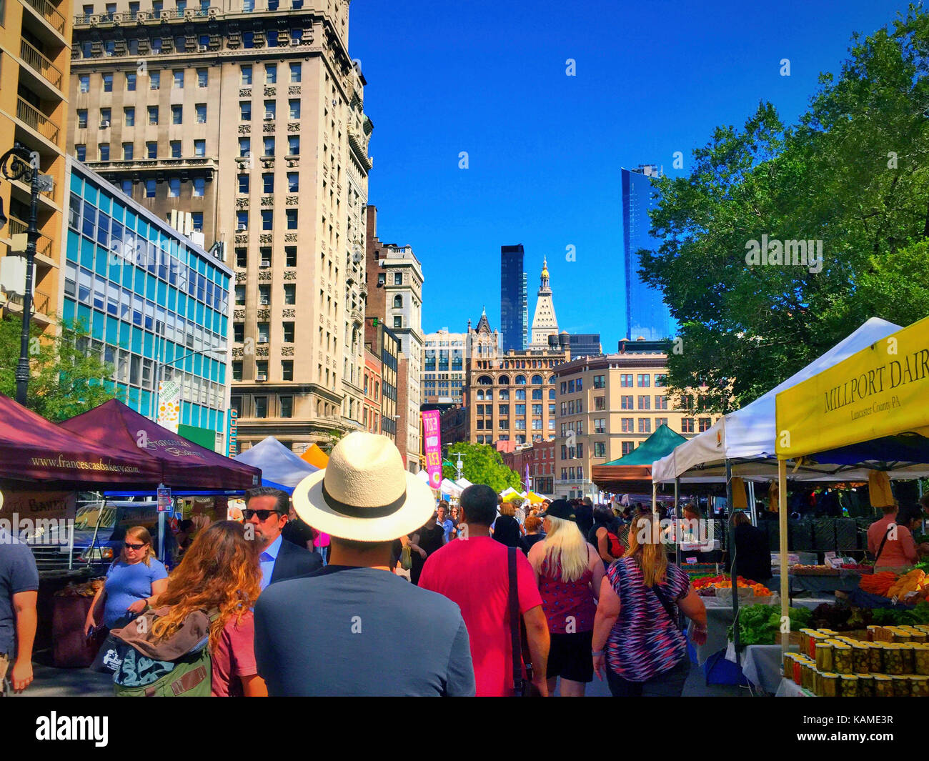 Union Square Greenmarket, NYC, USA Stock Photo