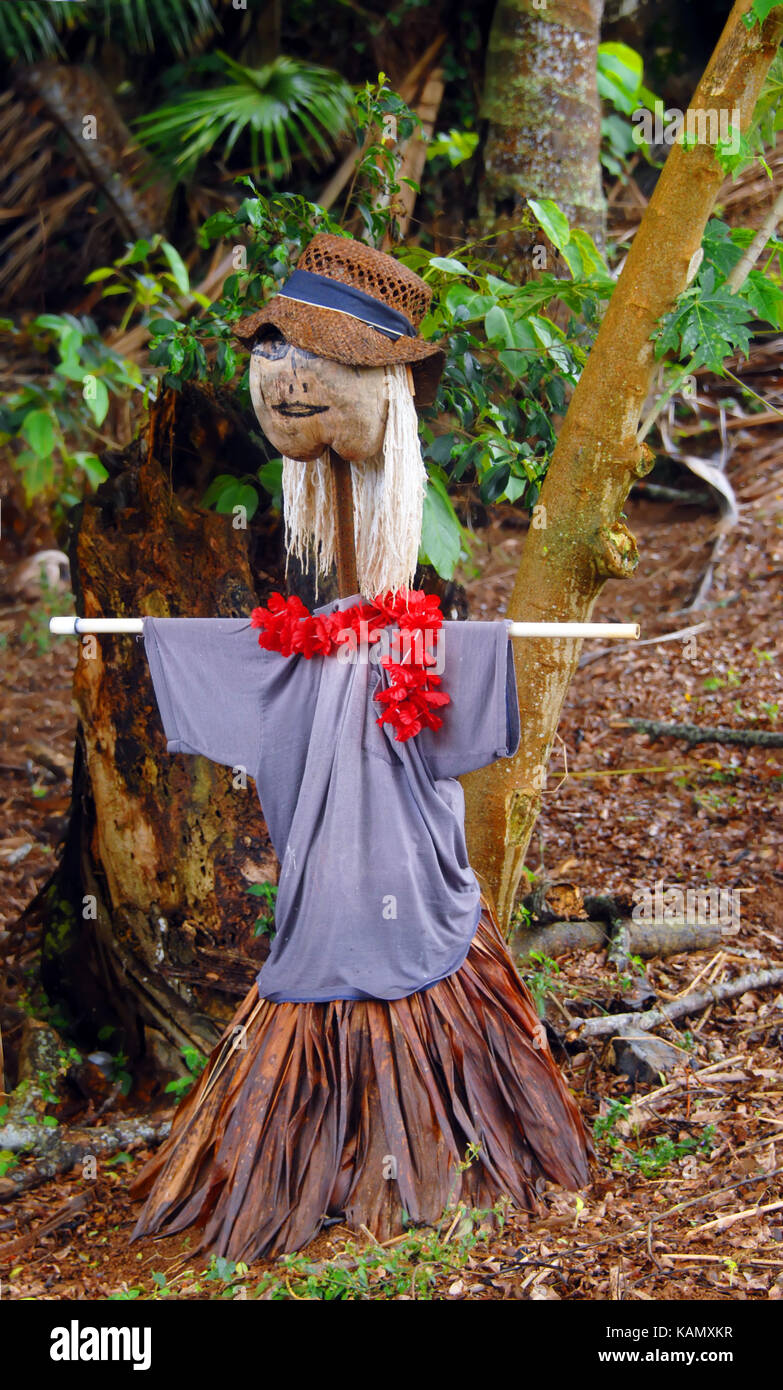 Comical scarecrow is dressed as a native hawaiian woman complete with grass skirt, lei and a coconut head. Stock Photo