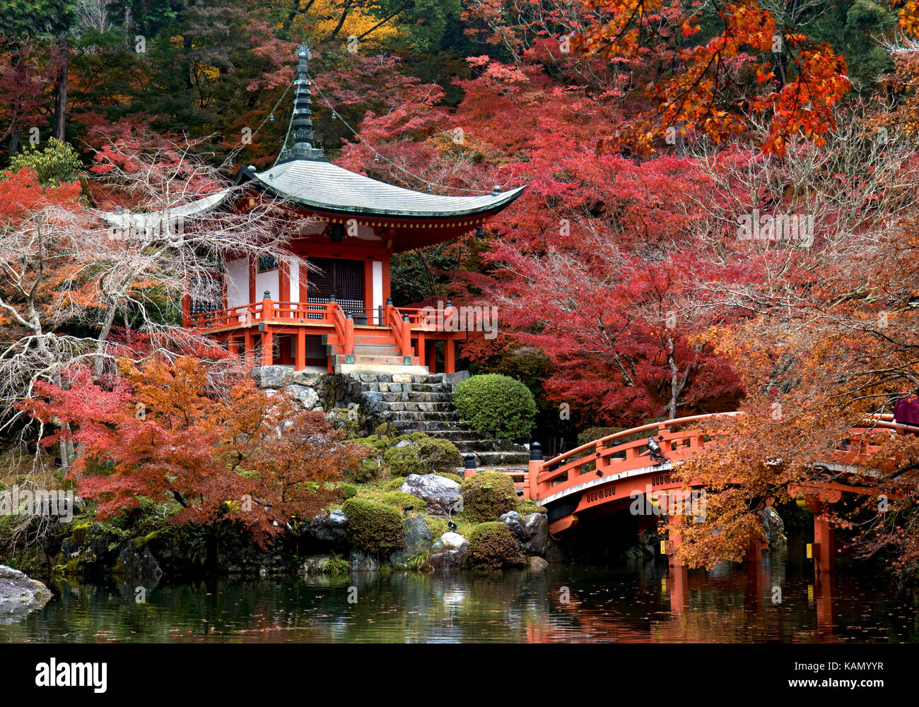 Autumn in the Japanese Garden. A pavilion and bridge over pond in the ...