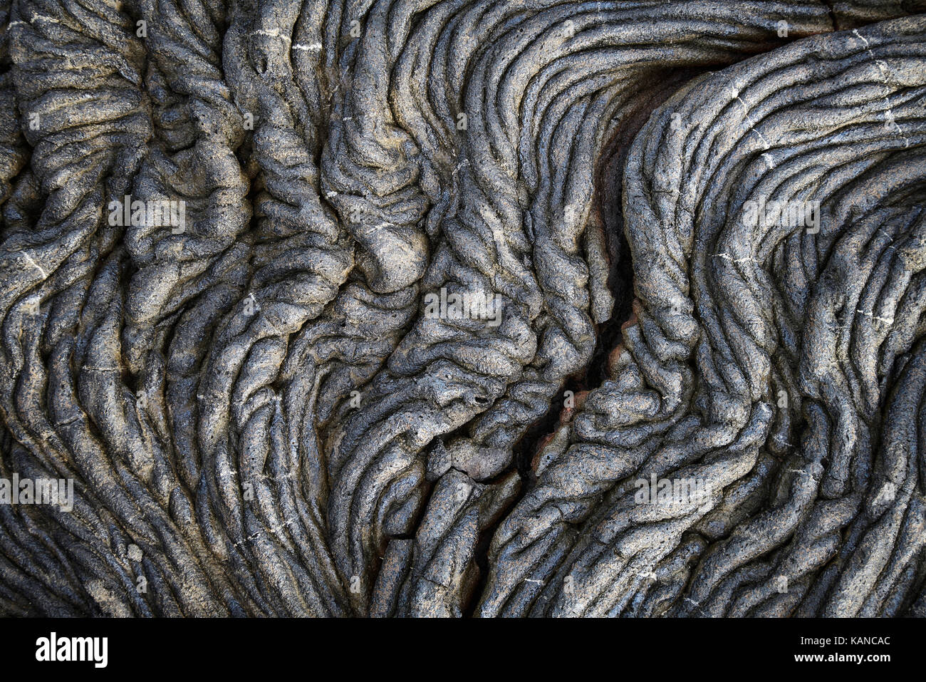 Pahoehoe lava on San Salvador in the Galapagos Islands of Ecuador Stock Photo