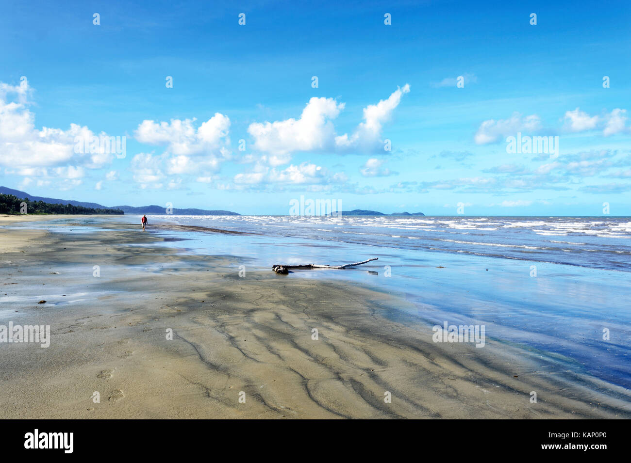 Man strolling on Wonga Beach, Far North Queensland, FNQ, QLD, Australia