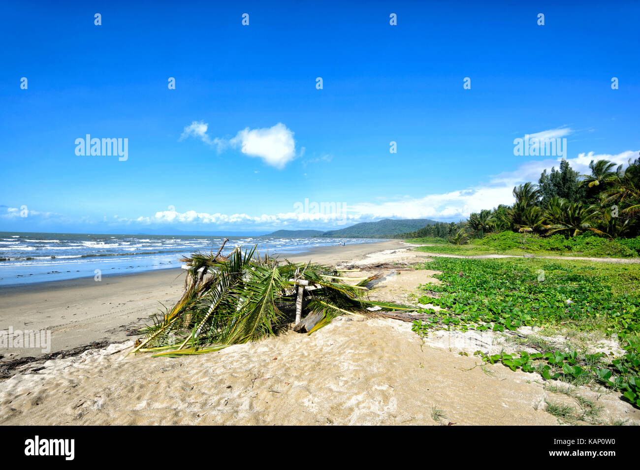 Shelter made of palm fronds on Wonga Beach, Far North Queensland, FNQ