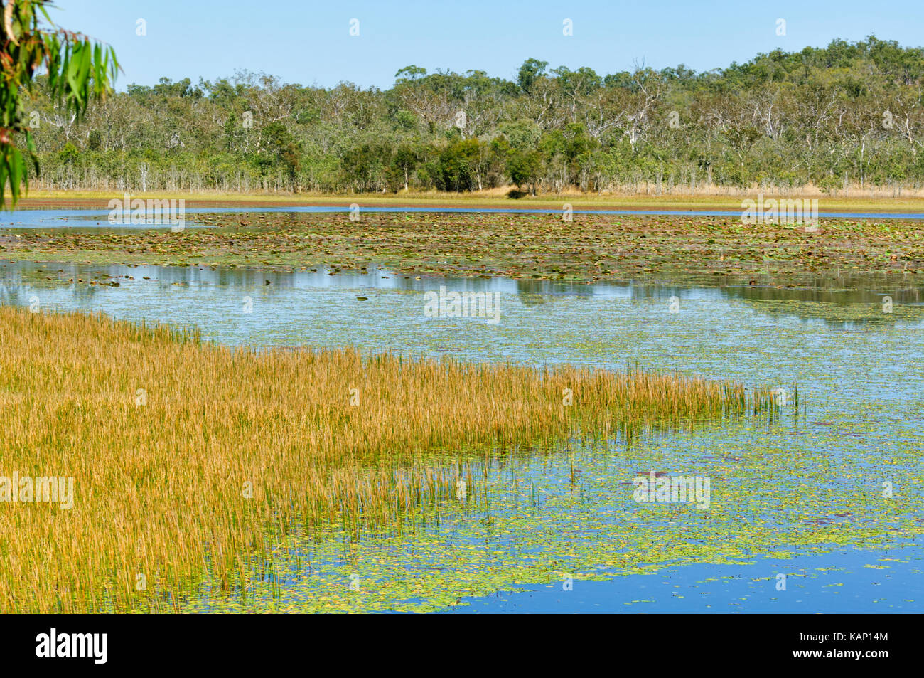 Mareeba wetlands queensland hires stock photography and images Alamy