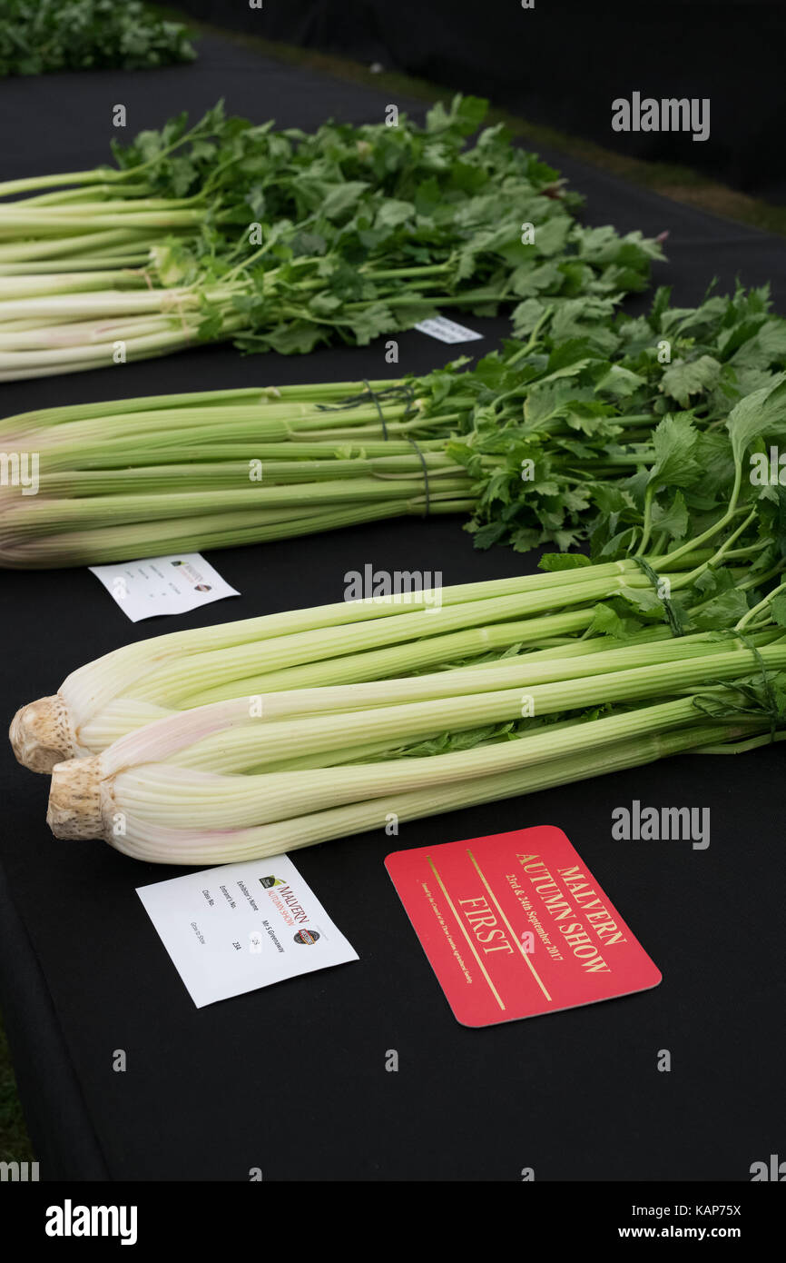 Showing vegetables in the marque at Malvern autumn show, Worcestershire, UK Stock Photo