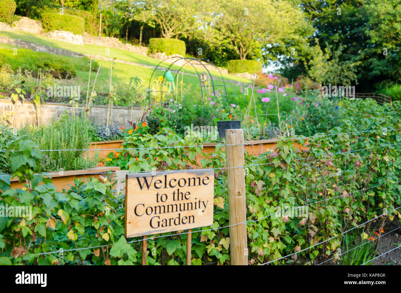 The Community Garden at Wharton Park, Durham Stock Photo