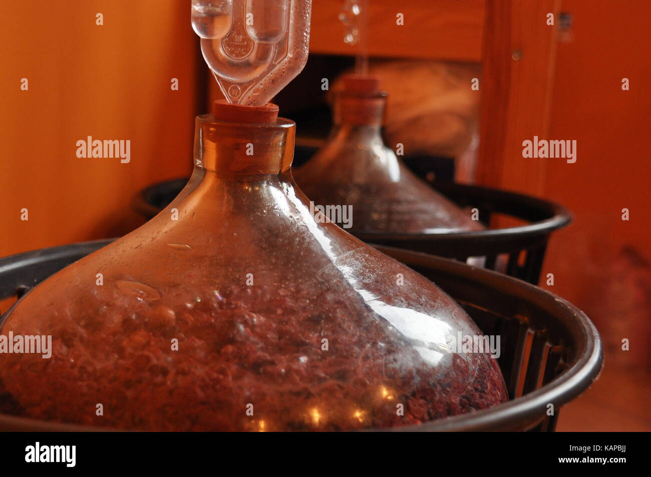 Jug of wine. Production wina.Proces fermentation Stock Photo - Jug Of Wine ProDuction Winaproces Fermentation KAPBJJ