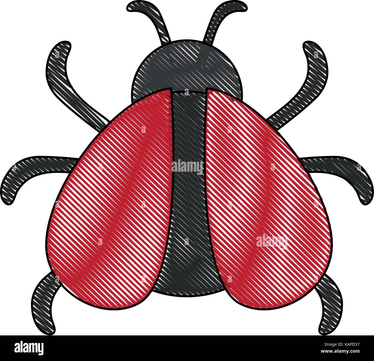Cute Ladybug isolated Stock Vector Image & Art - Alamy