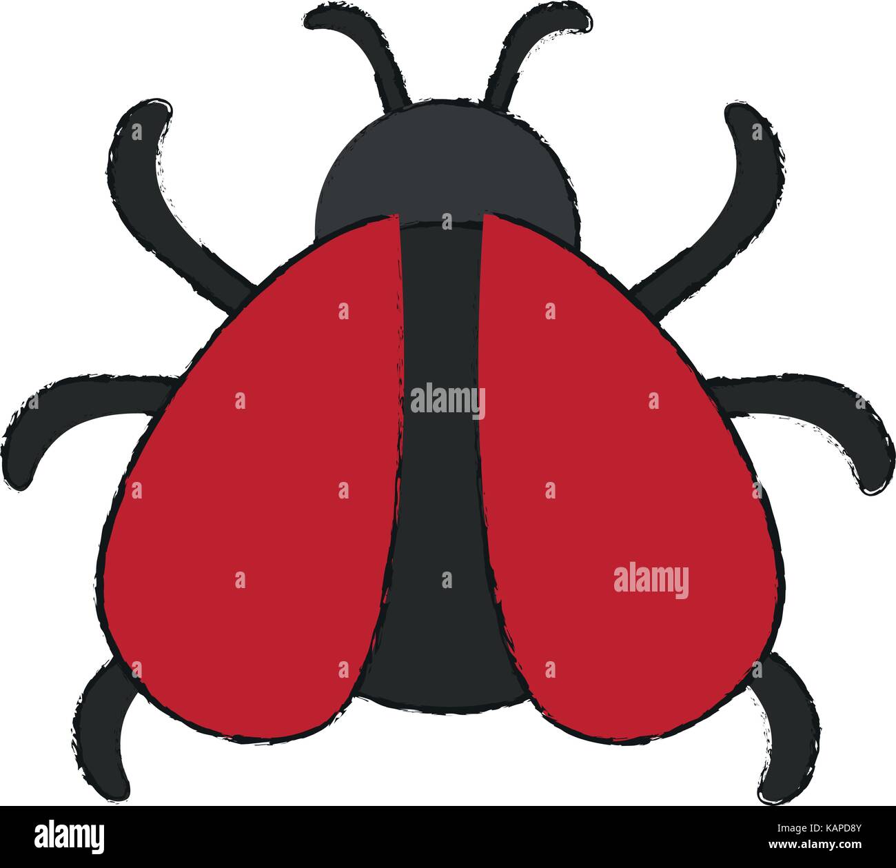 Cute Ladybug isolated Stock Vector Image & Art - Alamy