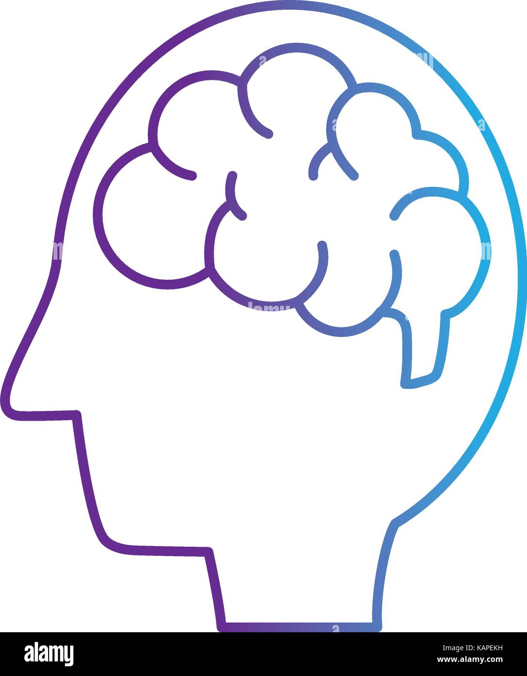line silhouette side man with anatomy brain Stock Vector Image & Art ...