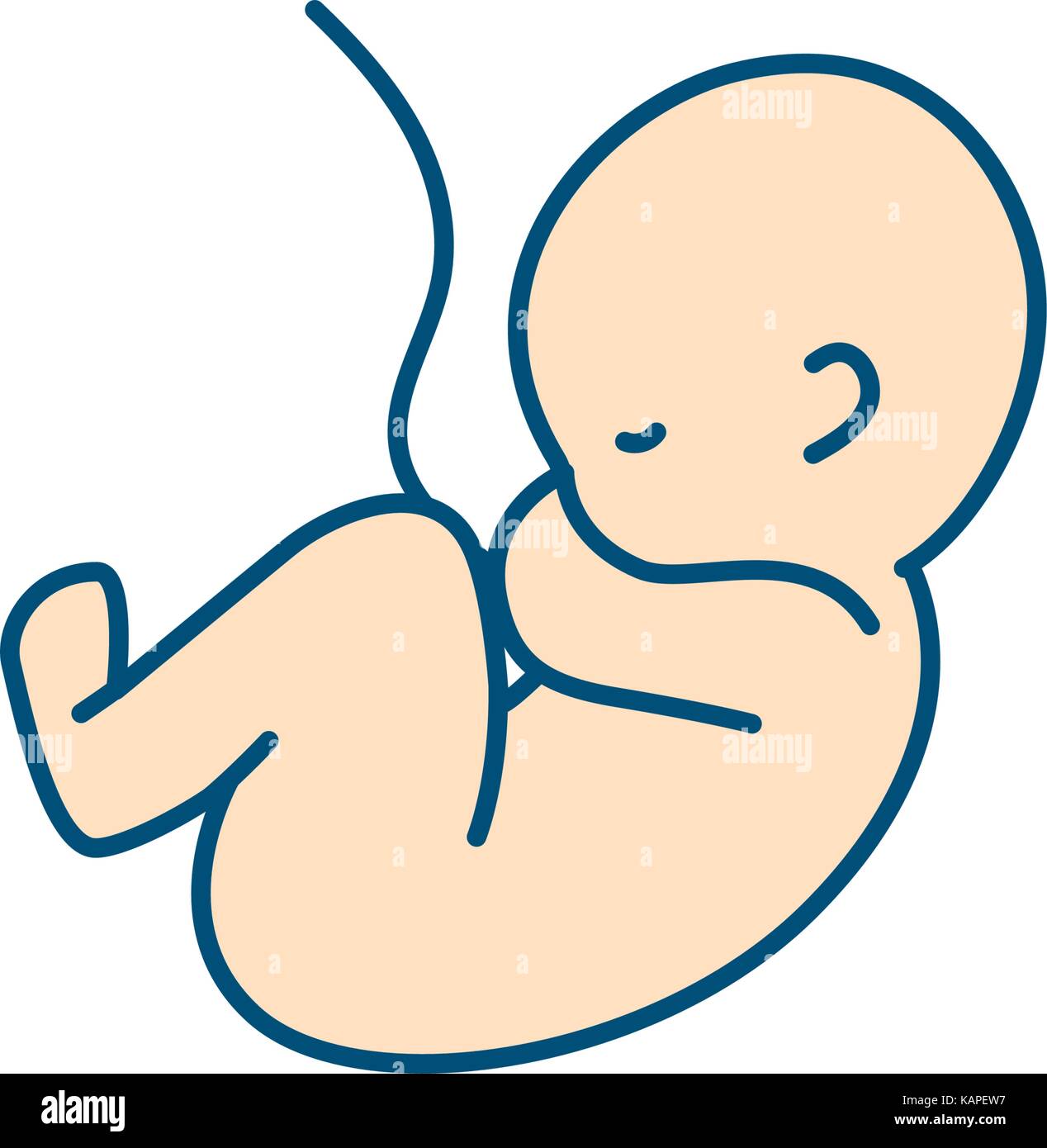 umbilical cord cartoon