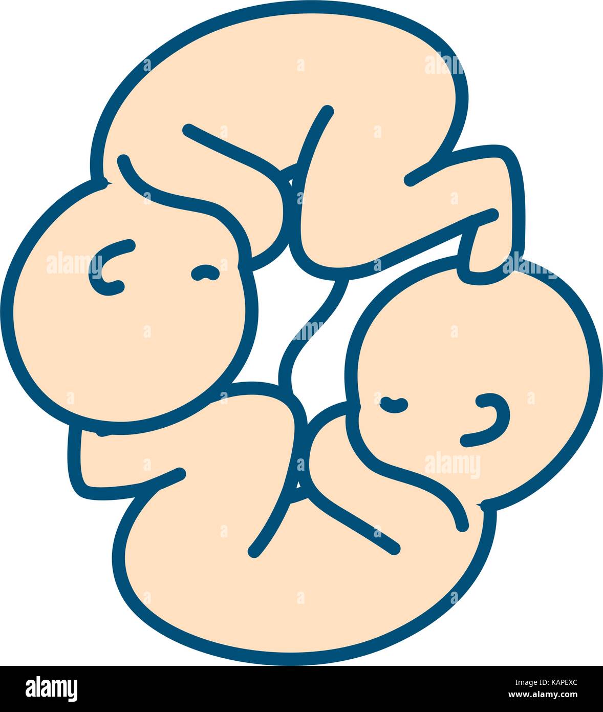 Fetus Twins High Resolution Stock Photography and Images Alamy