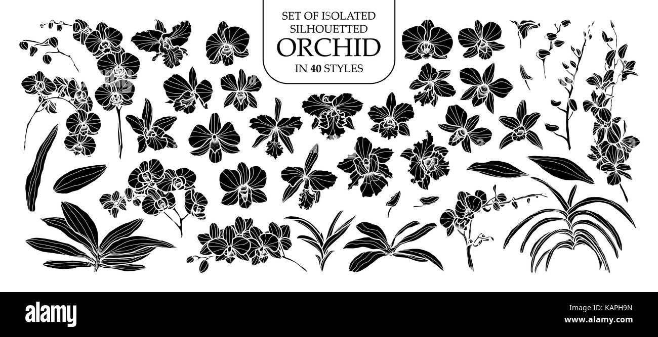 Set of isolated silhouette orchid in 40 styles. Cute hand drawn vector illustration in white outline and black plane on white background. Stock Vector