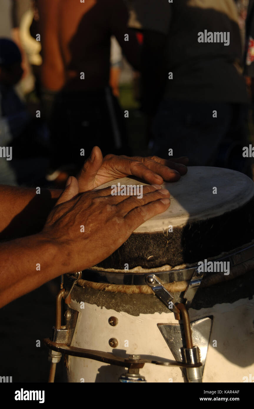 Man playing bongo drum. USA Stock Photo Alamy
