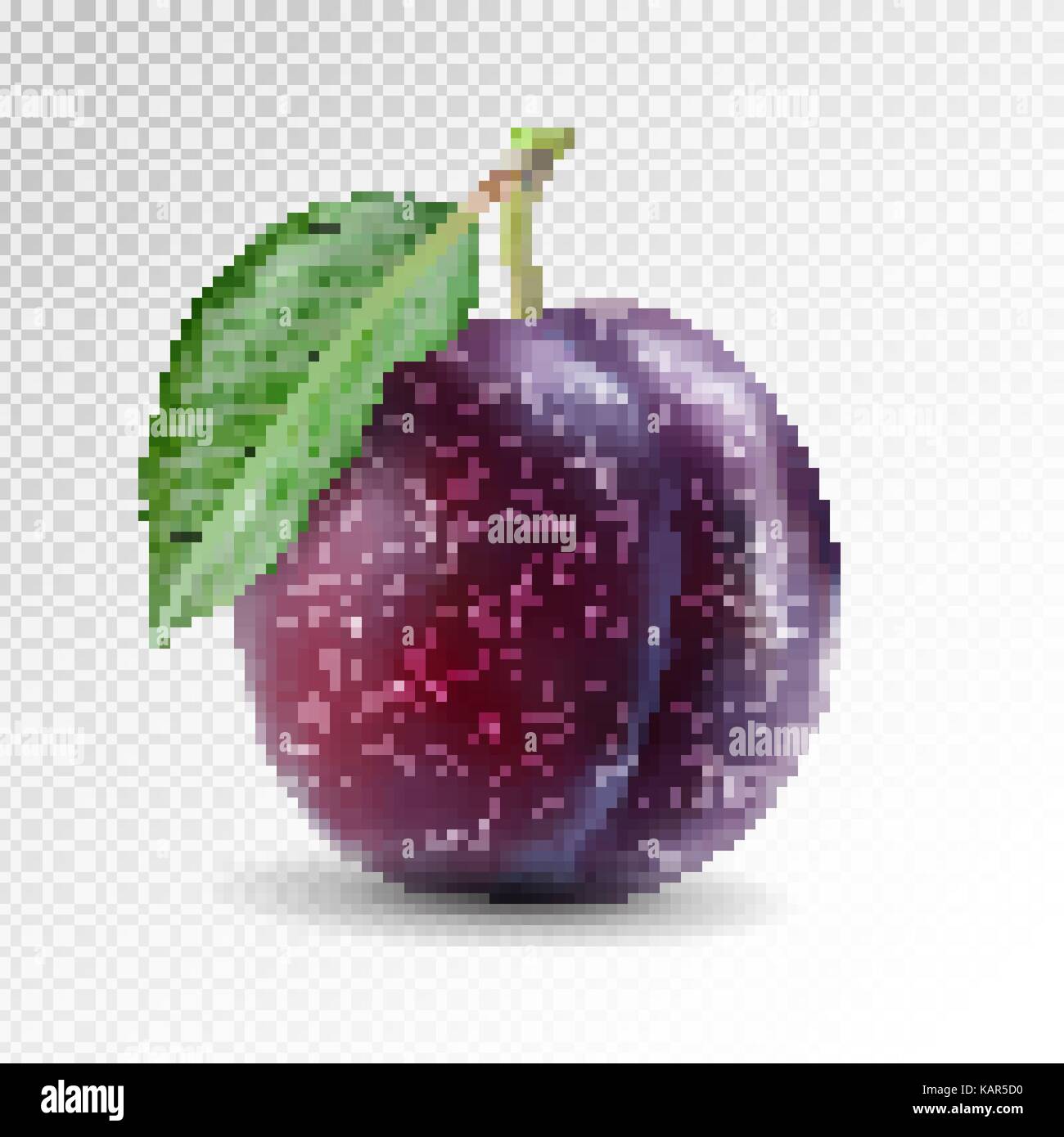Ripe plum with green leaves. Quality photo-realistic vector illustration of plum fruit Stock Vector