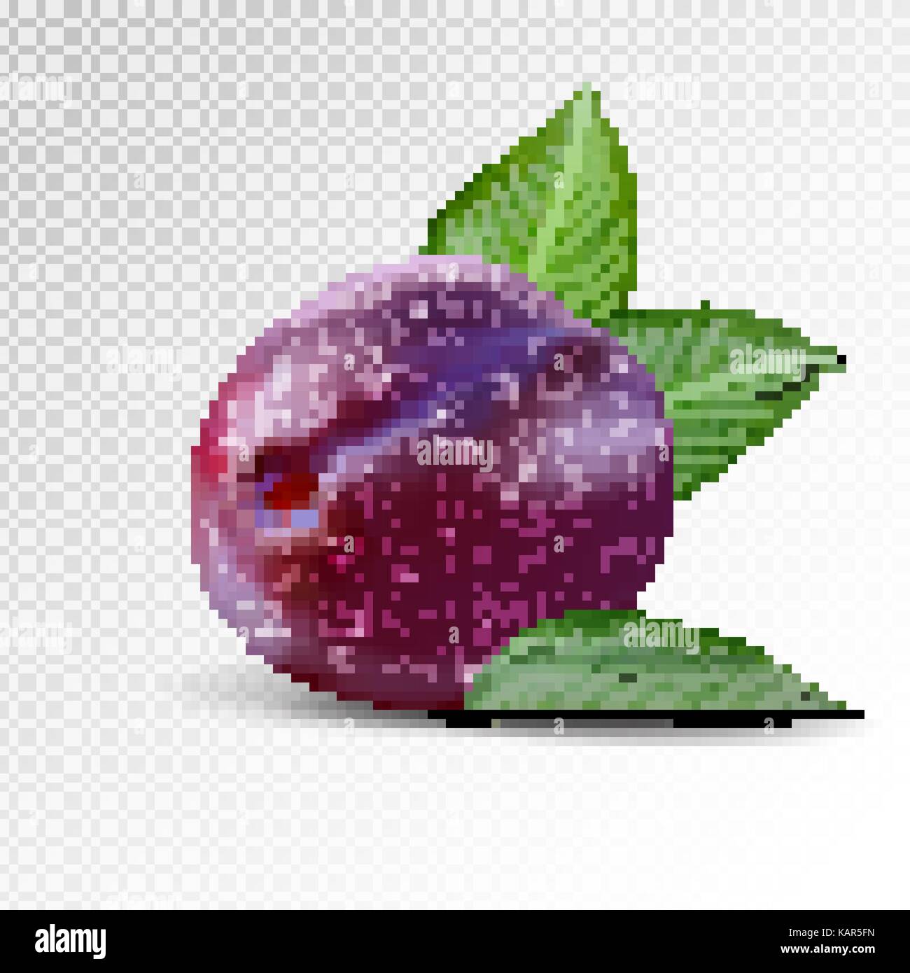 Fresh plum on transparent background. Realistic vector. Stock Vector