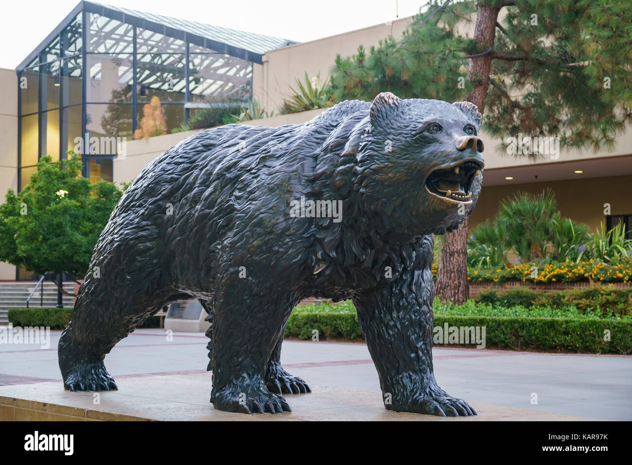 Westwood, JUN 21: UCLA Bruin Statue on JUN 21, 2017 at Westwood, Los Angeles County, California, United States Stock Photo