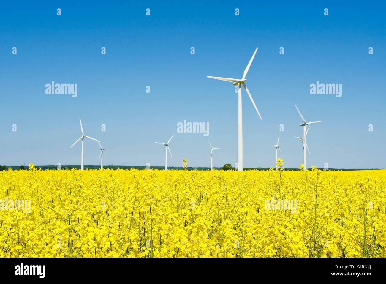 North Germany, wind strength arrangements in a rape field, Norddeutschland, Windkraftanlagen in einem Rapsfeld Stock Photo