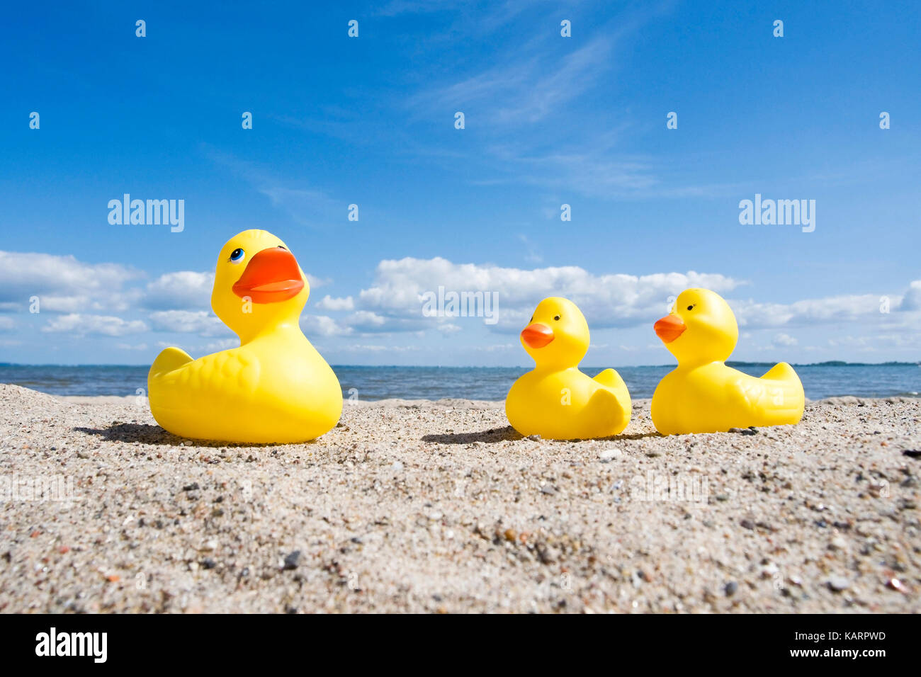 Baltic coast, elastic ducks on the beach, Ostseekueste, Gummienten am Strand Stock Photo